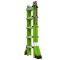Little Giant Dark Horse 2.0 Type 1A Ladder